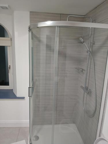 eine Dusche mit Glastür im Badezimmer in der Unterkunft The Widow's Cottage in Tipperary