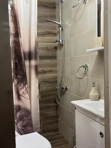 a bathroom with a shower with a toilet and a sink at Bellissima Apartment in Belgrade