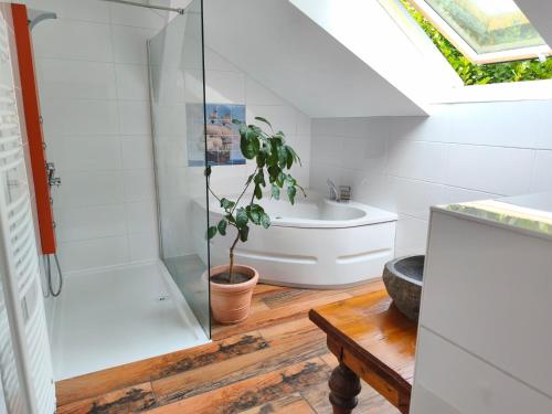 a bathroom with a shower and a potted plant at Ferienhaus Siegstrand mit Flusszugang in Mittelhof