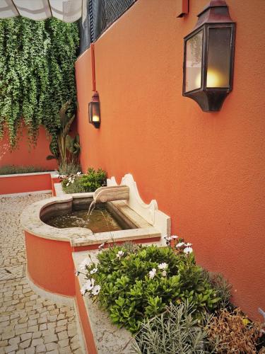 Lapa 82
