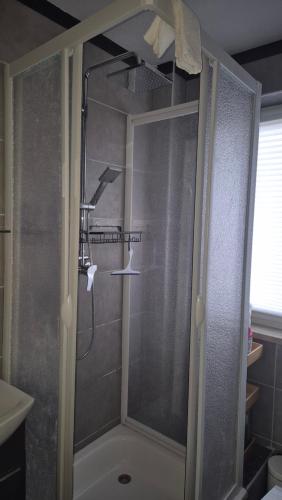 a shower with a glass door in a bathroom at FeWo Festungsblick Würzburg in Würzburg