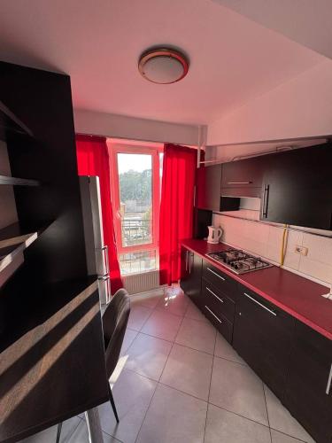 Kuchyň nebo kuchyňský kout v ubytování Apartament for You 3st