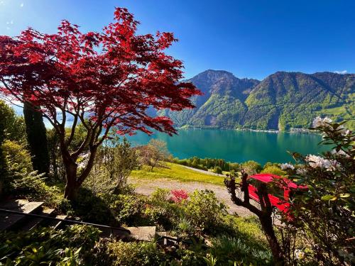 a tree with red leaves next to a lake at Panorama Lakeside Retreat Seelisberg in Seelisberg