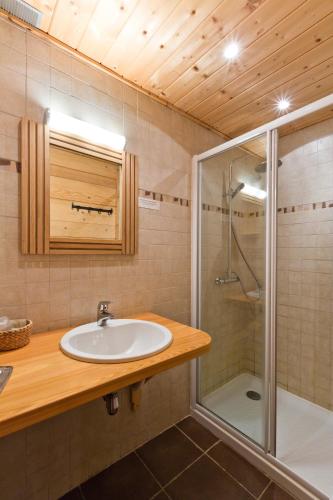 a bathroom with a sink and a shower at Le Roitelet in Châtel