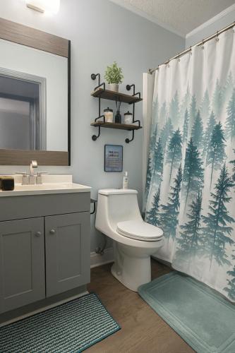 a bathroom with a toilet and a shower curtain at Sugar Mountain Ski Condo 1 bedroom - Walk to Slopes in Sugar Mountain