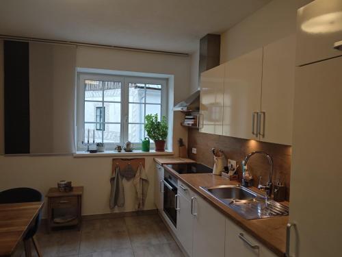 Haus Schatzl - 2 Apartments 50 oder 95 m2, Gartenbereich und Baden im Fluss