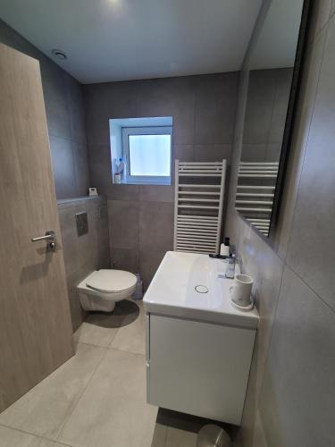 a bathroom with a white sink and a toilet at Stubel-Riedisheim in Riedisheim