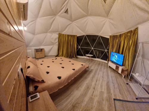 TV a/nebo společenská místnost v ubytování Cabana Teo&Matei