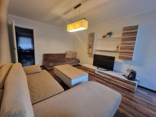 a living room with a couch and a flat screen tv at Airida Forest Apartment in Druskininkai