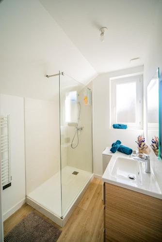 a bathroom with a shower and a sink at La Pause Tourangelle - Calme - Wifi - Parking in Monnaie