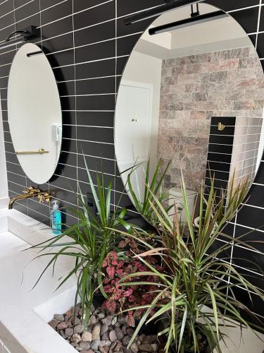 a bathroom with two mirrors and plants in a sink at BIG HOUSE, máximo 22 personas !!!!!!!!!!!!!!! in Guadalajara