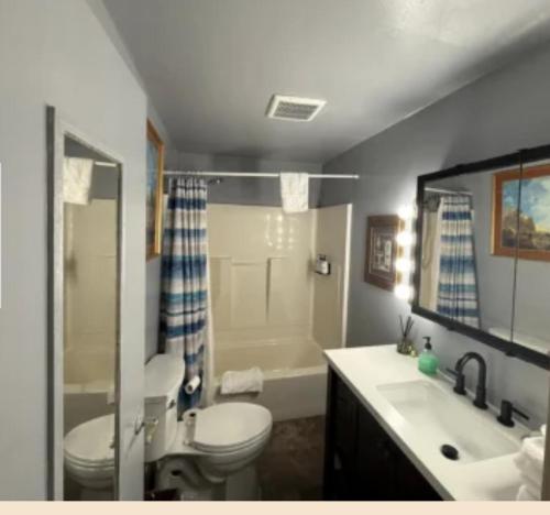 Un baño con inodoro, lavabo y ducha. en Eddys Motel, en East Jordan