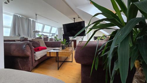 CityPenthouseStay with Terrace and Whirlpool near city center