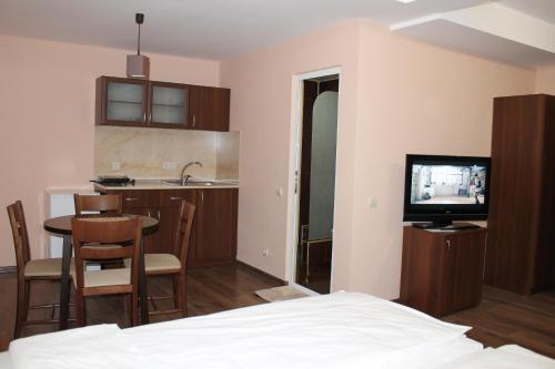 Habitación con cama, cocina y TV. en Center Guest House en Sapareva Banya