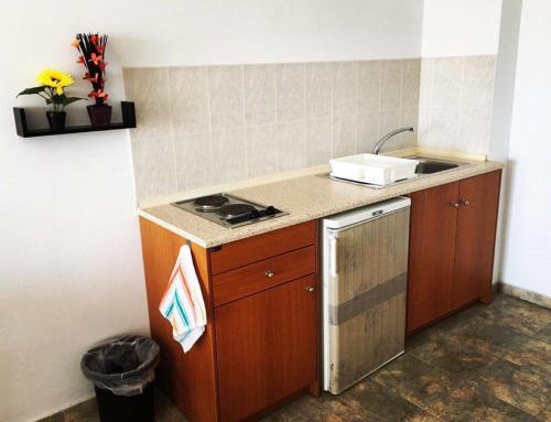 Dapur atau dapur kecil di Paradise Studios