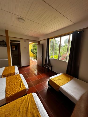 a room with three beds and a window at Finca los Bohíos in Santa Rosa de Cabal