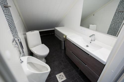 Un baño con inodoro, lavabo y espejo. en AaltoSahan huvila, en Orivesi