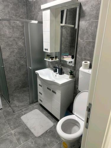 a bathroom with a toilet and a sink and a mirror at Apartman Centar-moderan dvosoban stan u centru in Priboj