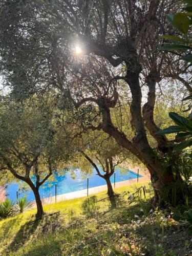 a group of trees in front of a body of water at Casa Jeyel in Lazise