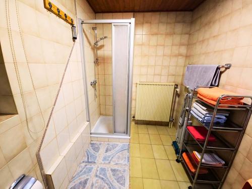 Ένα μπάνιο στο Ferienwohnung an der Altmühl - Apartment Hollerstein