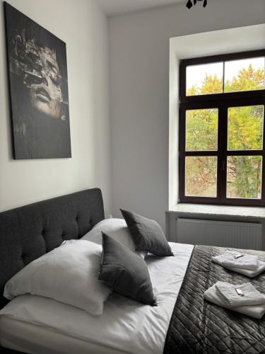 a bedroom with a bed with pillows and a window at Apartamenty Łuczkowskiego z widokiem na Studnię 5 in Chełm