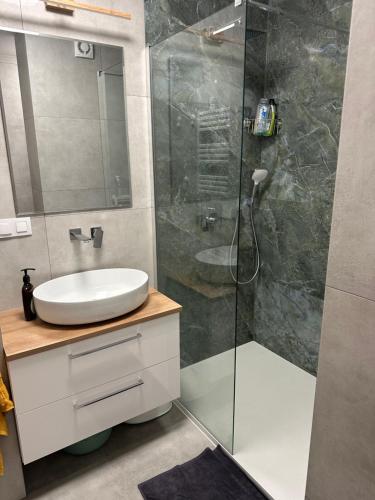 Un baño con lavabo y ducha de cristal. en Święty Spokój, en Gdansk