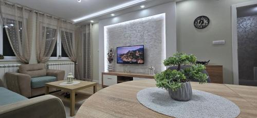 TV a/nebo společenská místnost v ubytování Apartman Vukota 2 Pirot
