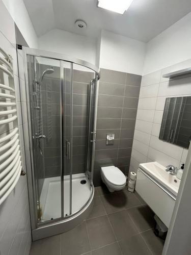 Un baño con ducha, inodoro y lavabo. en Apartamenty Plaża Miedwie STARGARD-ZIELENIEWO, en Zieleniewo