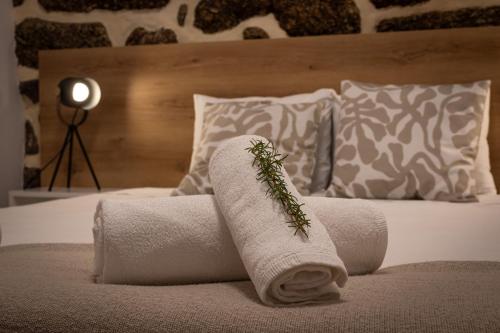 a towel on a bed with a plant on it at Recanto da Neta in Seia