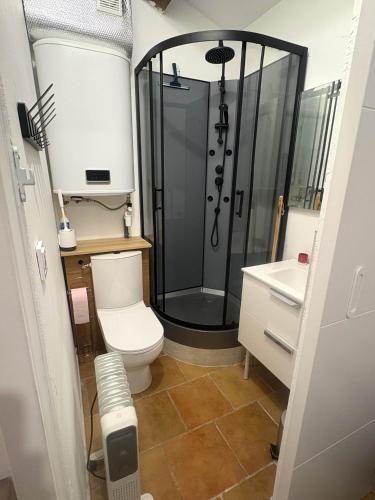 a bathroom with a shower and a toilet and a sink at Le Cabanon des Collines in Signes
