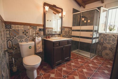 uma casa de banho com um WC, um lavatório e um chuveiro em Cortijo Claudia em Taberno