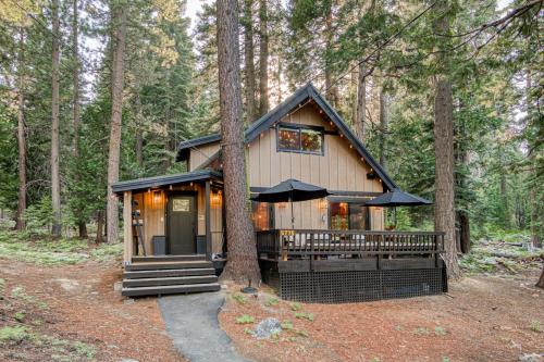 a small cabin in the woods with a tree at Songbird Cabin at Chambers by Tahoe Getaways - Pet-Friendly 2 BR with HOA Access in Homewood Seaplane Base