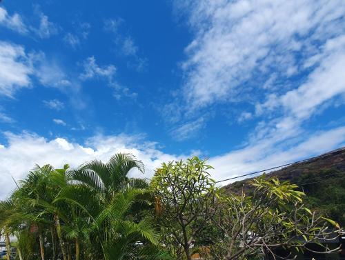 a group of palm trees and a blue sky at Chambres chez l'habitant in Saint-Paul