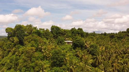 une maison au milieu d'une forêt d'arbres dans l'établissement Bayay Tamsi, à General Luna