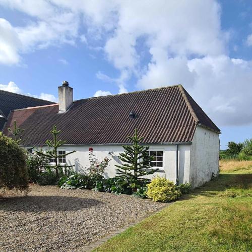 a white house with a brown roof at Holiday In A Cozy Farmhouse With Horses in Bøvlingbjerg