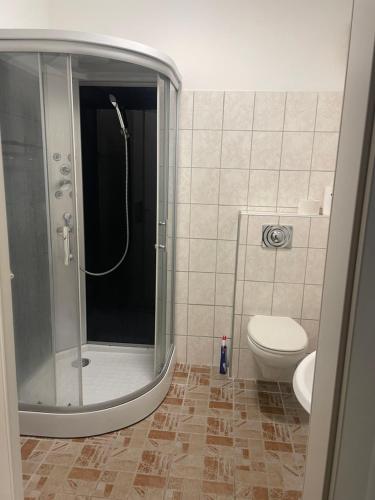 a bathroom with a shower and a toilet at Schwavillage in Schwadorf