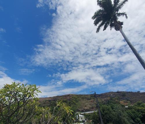 a palm tree in front of a cloudy sky at Chambres chez l'habitant in Saint-Paul