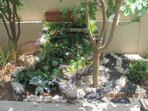 a garden with flowers and a tree in it at Guest house Ashdod-beach in Ashdod