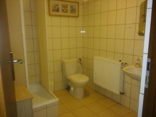 Phòng tắm tại Pod Zachrypniętym Kogutem