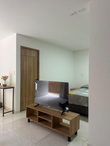 サン・ヒルにあるApartamento Playa Realのリビングルーム(テレビ、ベッド付)