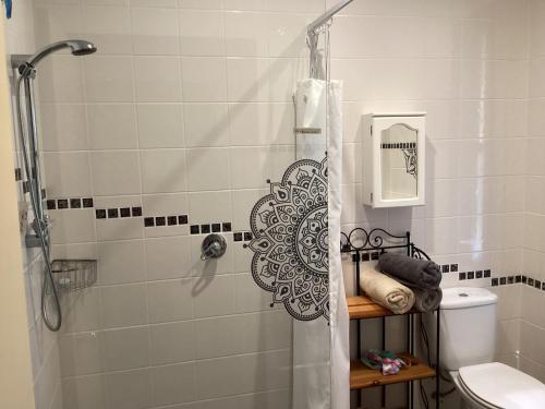a bathroom with a shower and a toilet at Matai Whetū - Stargazer Tutukaka in Tutukaka