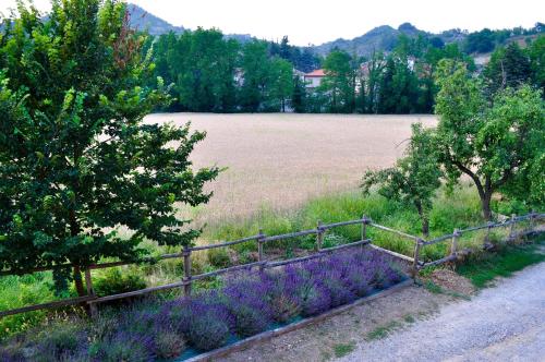 a field with purple flowers next to a fence at Le Macine Relais in Cairo Montenotte