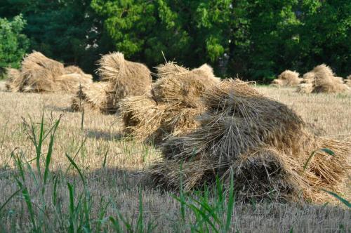 a pile of hay in a field at Le Macine Relais in Cairo Montenotte