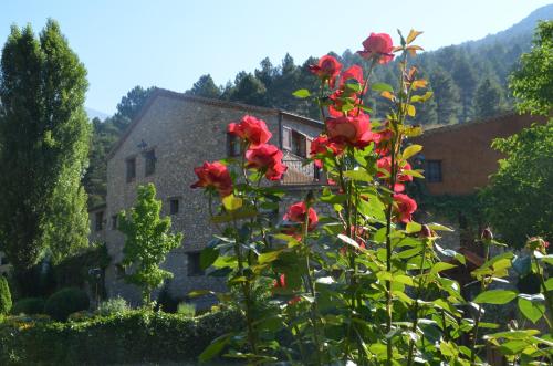 a bush with red flowers in front of a house at Casa Rural Molí de Fòrnols in Fornols
