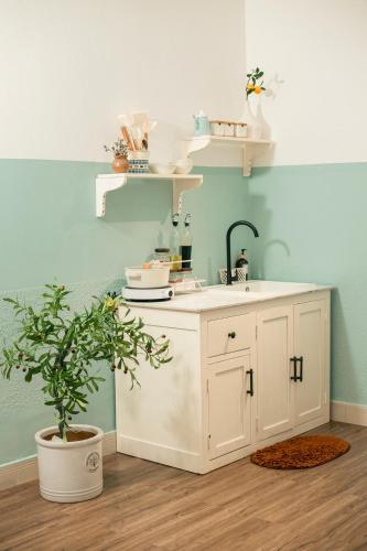 a kitchen with a sink and a potted plant at Iris Homestay Bình Dương in Trạm Chánh An