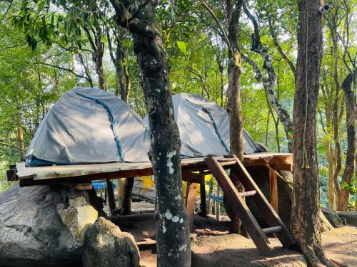Una tienda de campaña sobre un soporte de madera en el bosque en EarthWise Camping, en Kalpetta