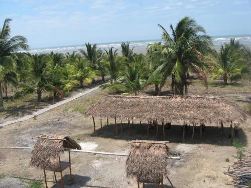 a hut with a straw roof and palm trees at Hosteria Mar de Plata in Cabuyal