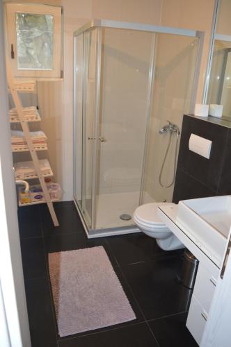 a bathroom with a shower and a toilet and a sink at Holiday Home Anna in Klek