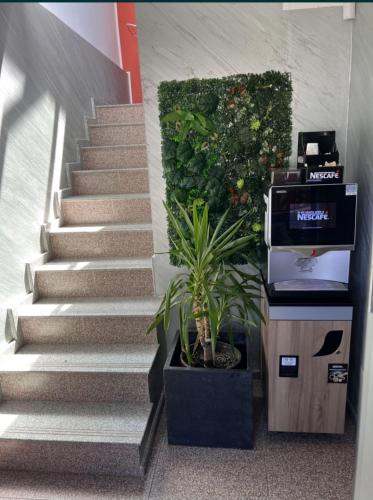 a stairway with a plant in a building at Cazare GDD in Focşani
