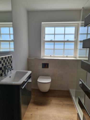 a bathroom with a toilet and a sink and two windows at Number 10 - Stunning brand new house - sleeps 6 - free parking in Topsham